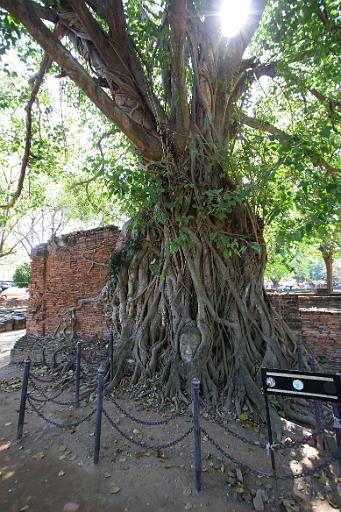0346 Ayutthaya - oude VOC handelsplaats.jpg